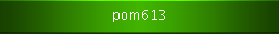 pom613